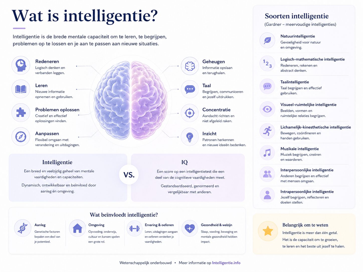 Rustige infographic over intelligentie, IQ, cognitieve vaardigheden, soorten intelligentie en de invloed van aanleg en omgeving