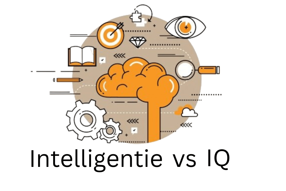 Verschil IQ en intelligentie