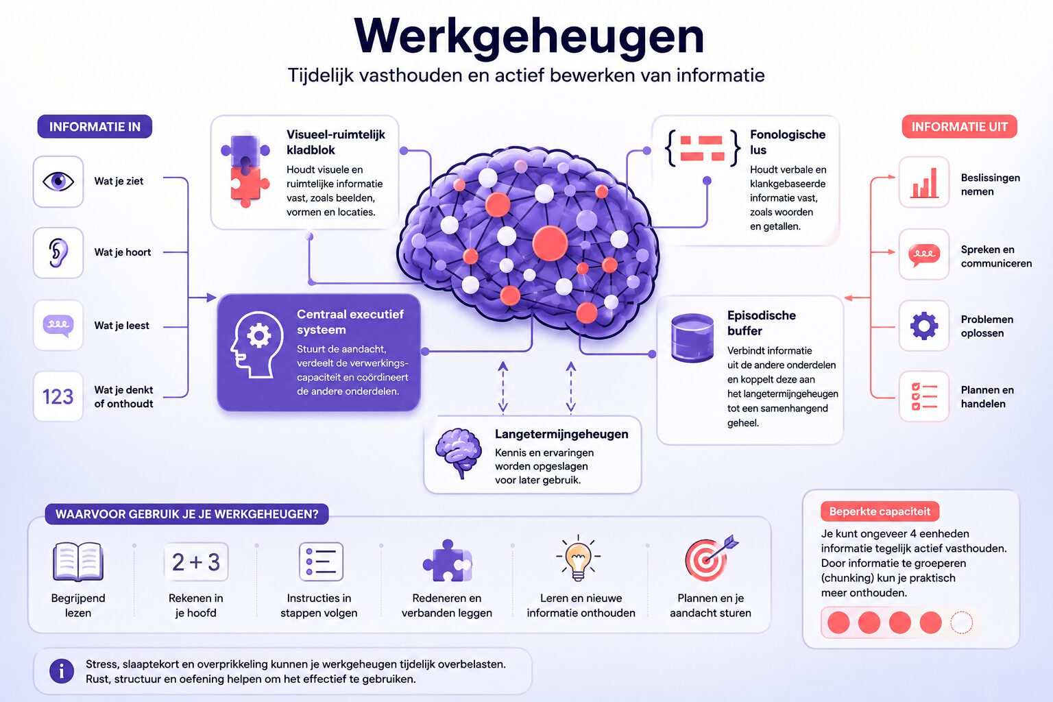 Wat is werkgeheugen? Betekenis, functie en training