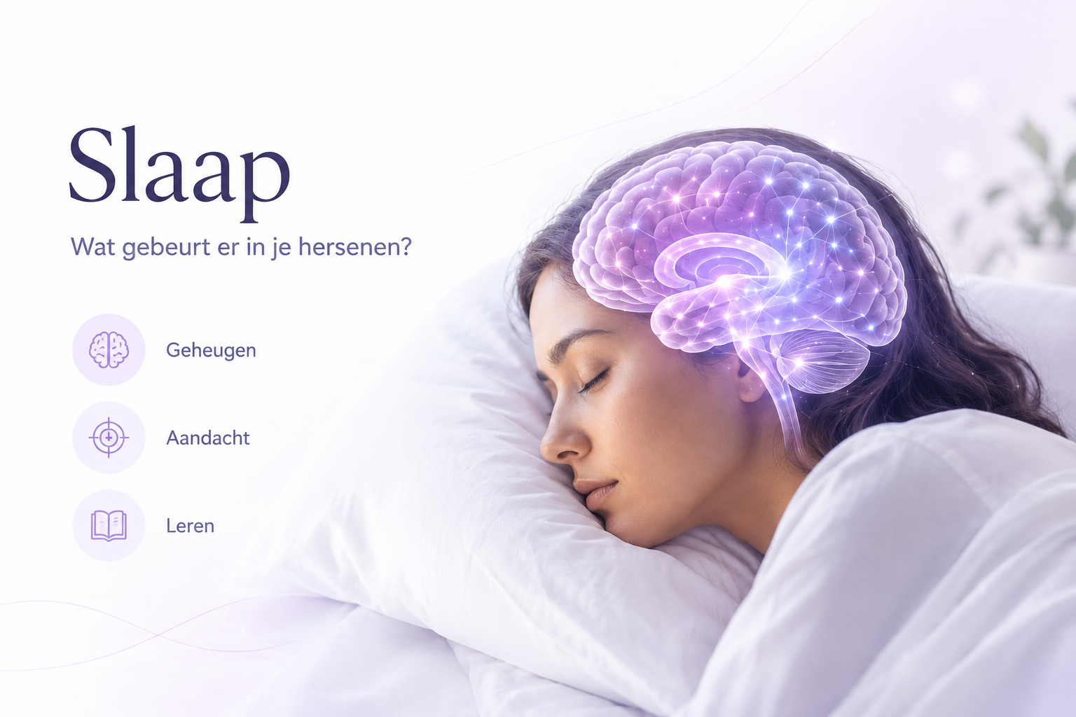Illustratie van slaap en de hersenen met aandacht voor geheugen, leren en intelligentie
