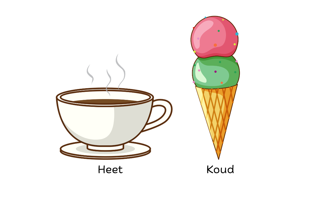 Wat is de betekenis van een antoniem?