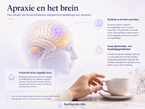 Apraxie: wat is het, wat zijn de symptomen en wat kun je eraan doen?