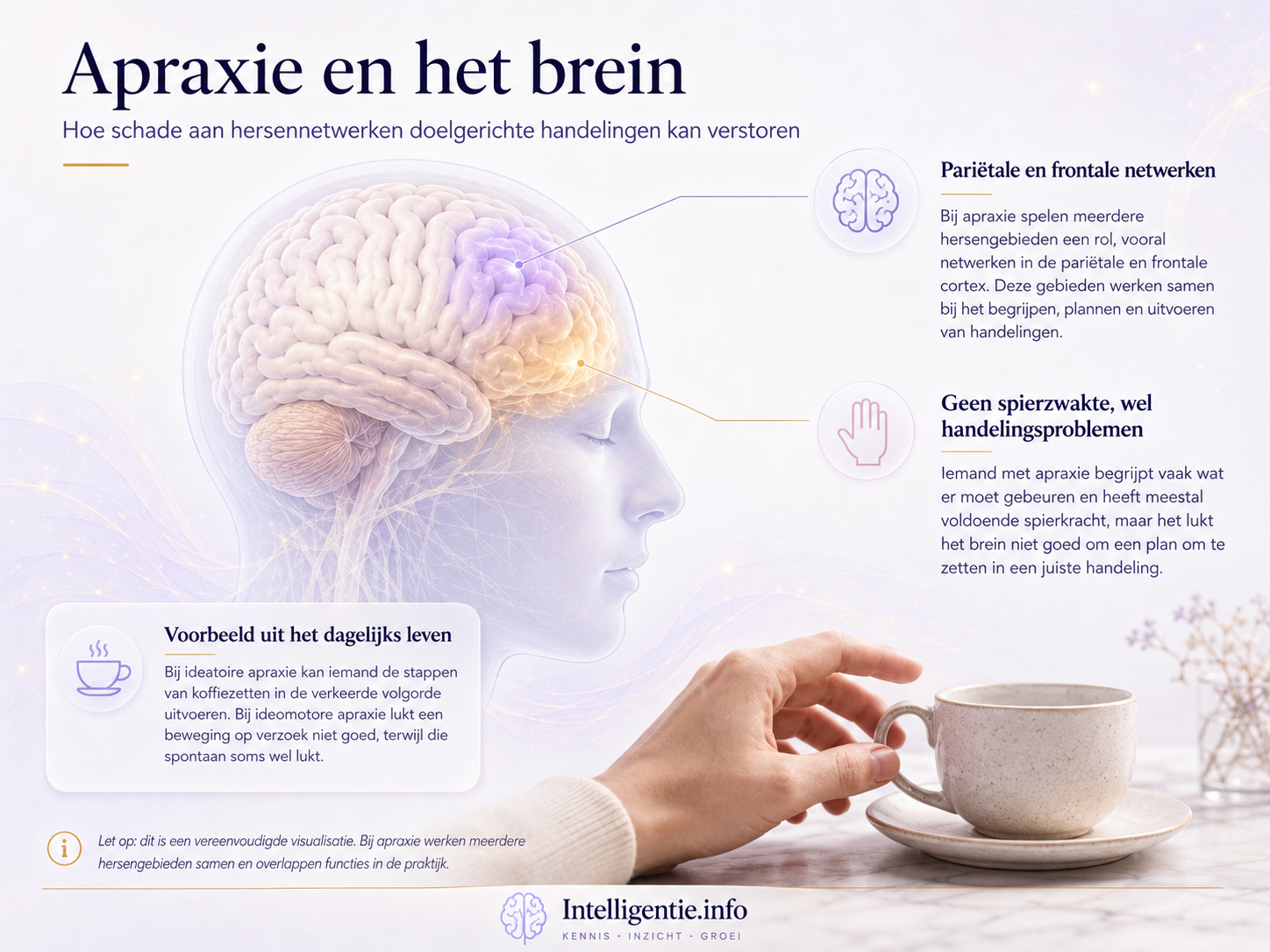 Apraxie: wat is het, wat zijn de symptomen en wat kun je eraan doen?