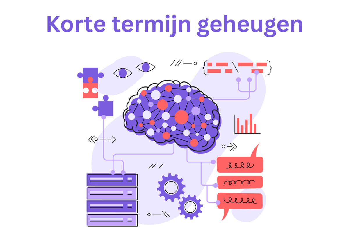 Hoe kun je het korte termijn geheugen verbeteren?