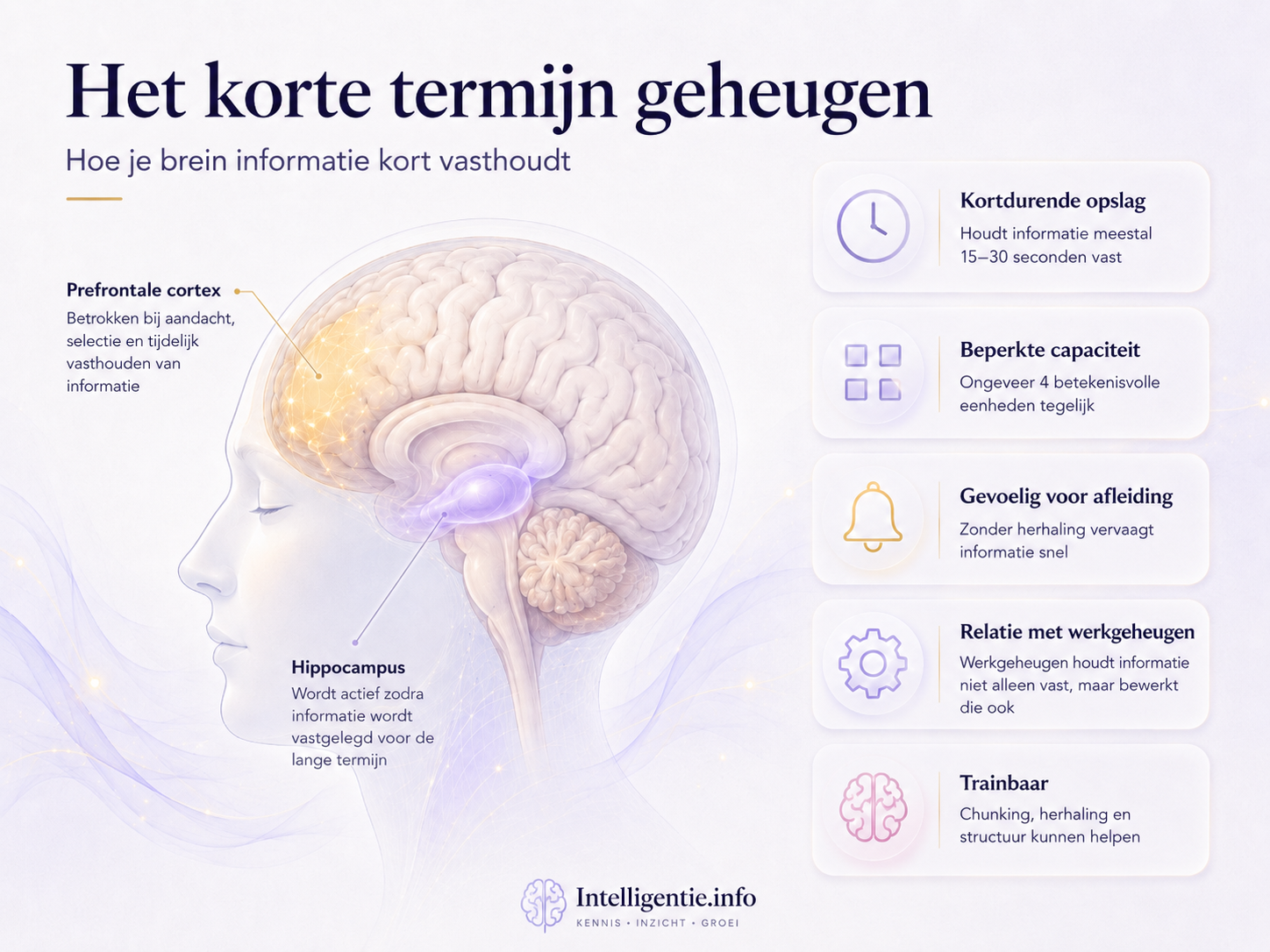 Korte termijn geheugen: uitleg, duur & trainen