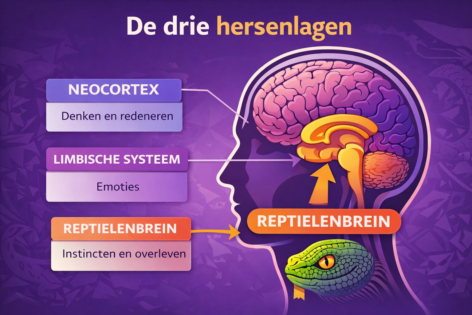 Het reptielenbrein en intelligentie: hoe oerinstinct ons denken stuurt