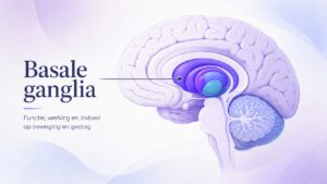 Basale ganglia: functie, werking en rol bij beweging en gedrag