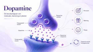 Wat is dopamine? Betekenis, werking en invloed op intelligentie