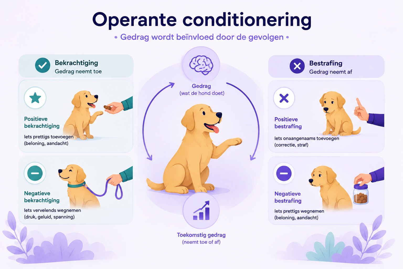 Operante conditionering: hoe beloning en straf je gedrag sturen