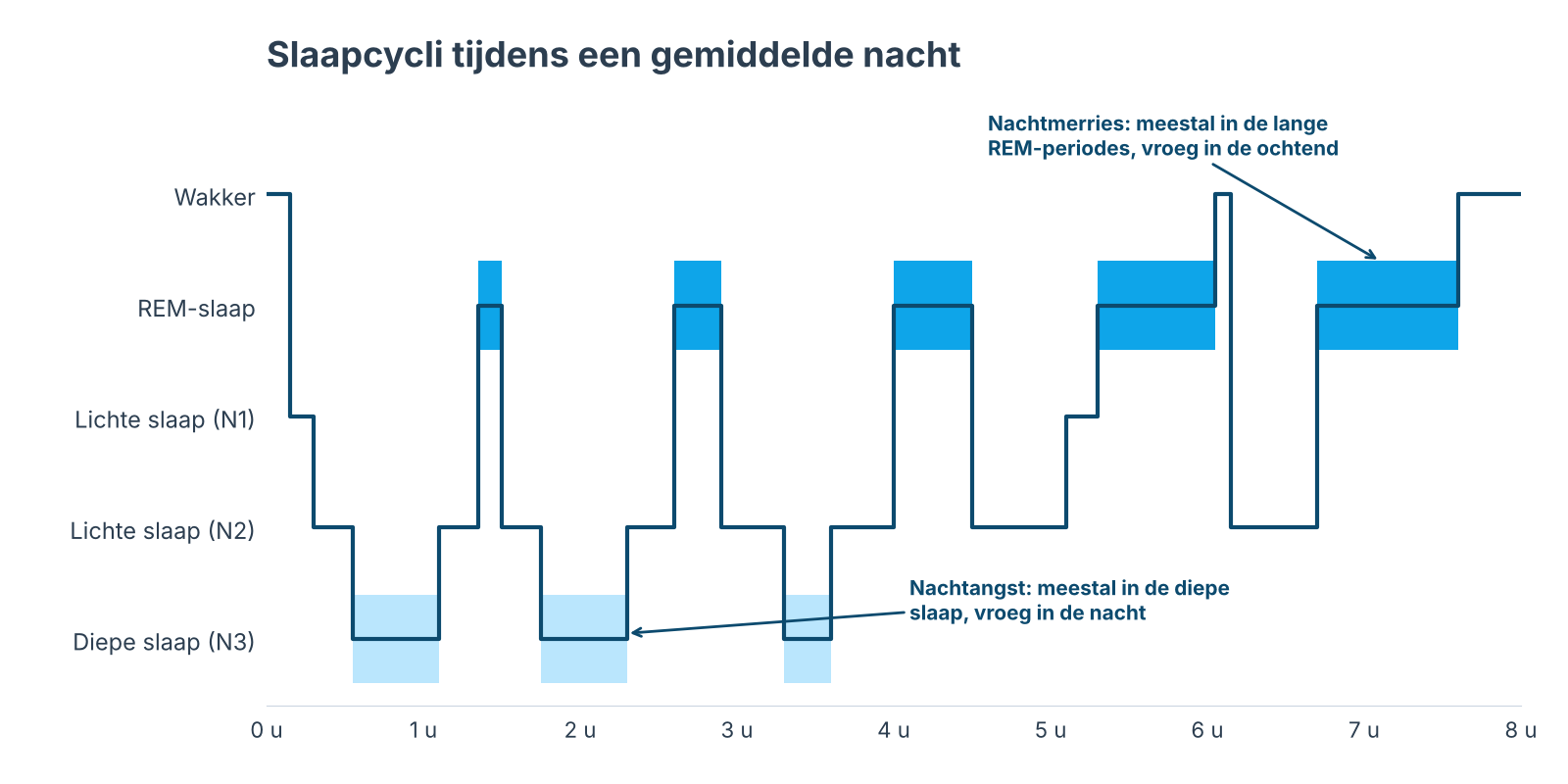 Slaapcycli tijdens de nacht: nachtmerries ontstaan vooral in de lange REM-periodes vroeg in de ochtend